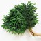 40pcs Italian Ruscus Greenery 68cm Artificial Greenery Stems (Italian Ruscus Stems 40) 0.2"D x 17.72"W x 26.8"H